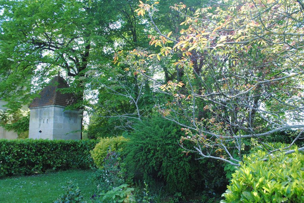 Domaine De Plisseau Bed & Breakfast Gauriac Exterior photo